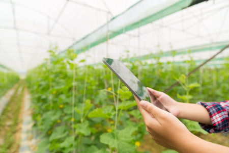 Internet of Things, IoT with Farming Smart concept. Agriculture and modern technology are used to manage crops. controlling the production to be effective to solve productive problems. business melon.の写真素材