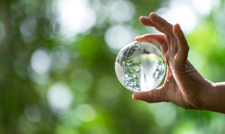 Crystal ball used as a telling object. Nature park with trees in the background. hand for environmental, social, and governance in sustainable and ethical business on green background.の写真素材