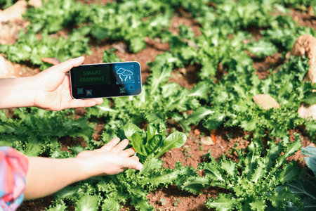 Smart farming and farm technology concept. Smart young asian farmer man using smart phone to check quality and quantity of organic hydroponic vegetable garden at greenhouse in morning.の写真素材