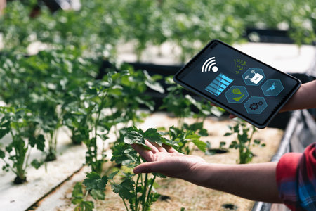 Smart farming and farm technology concept. Smart young asian farmer man using tablet to check quality and quantity of organic hydroponic vegetable garden at greenhouse in morning.の写真素材