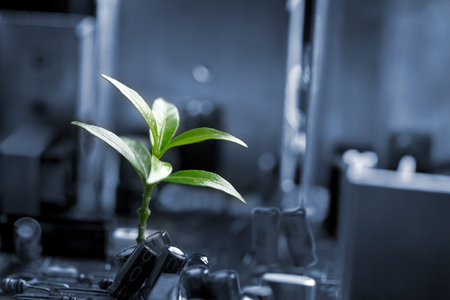 Tree growing on the converging point of computer circuit board. Green computing, Green technology, Green IT, CSR, and IT ethics. Concept of green technology. Environment green technology.の写真素材