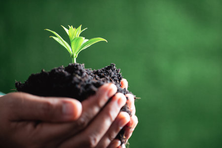 World Environment Day. Hands planting the seedlings into soil. Idea of protecting the environment and reducing global warming. Symbol of spring, the beginning of forest, ecology concept. Earth day.の写真素材