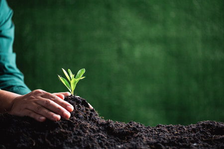 World Environment Day. Hands planting the seedlings into soil. Idea of protecting the environment and reducing global warming. Symbol of spring, the beginning of forest, ecology concept. Earth day.の写真素材