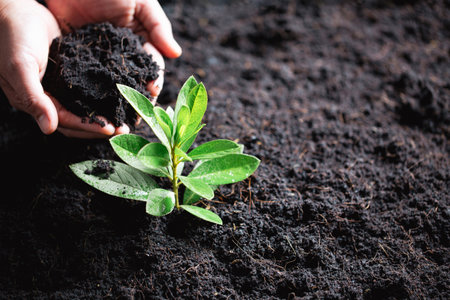 World Environment Day. Hands planting the seedlings into soil. Idea of protecting the environment and reducing global warming. Symbol of spring, the beginning of forest, ecology concept. Earth day.の写真素材