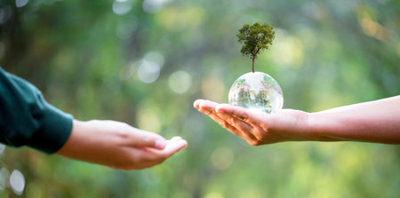 Hand holding glass globe ball with tree growing and green nature blur background. eco environmental concept. World environment day. earth day concept.の写真素材