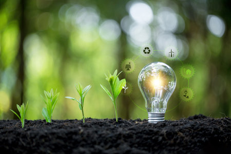 Environmental protection, renewable, sustainable energy sources. tree growing and light bulb with sunshine in nature and small plants growth stepe. saving energy and eco concept.の写真素材
