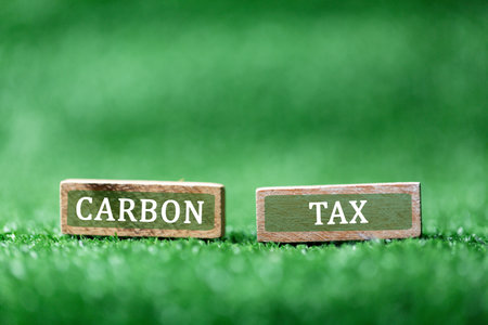Wooden cubes with CO2 TAX word on green grass background. Concept of green Co2 Tax. Carbon tax, environmental and social responsibility business concept. Taxation for nature pollution.の写真素材