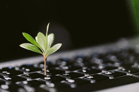 Green information technology. Environmentally Sustainable IT. Copy space. Green plant growing on laptop computer keyboard with green background. Environment green technology.の写真素材