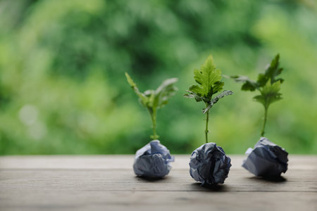 Plastic bags and plastic bottles reused as containers for growing plants. Green tree on plastic bottle. Decoration by using old plastic bottle and bags. Reduce or garbage or waste by recycling objectsの写真素材