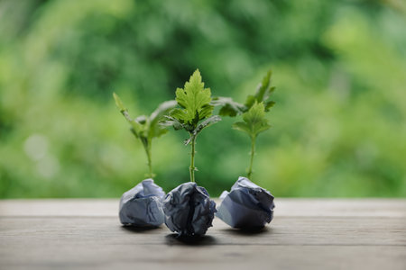 Plastic bags and plastic bottles reused as containers for growing plants. Green tree on plastic bottle. Decoration by using old plastic bottle and bags. Reduce or garbage or waste by recycling objectsの写真素材