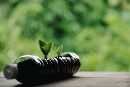 Plastic bags and plastic bottles reused as containers for growing plants. Green tree on plastic bottle. Decoration by using old plastic bottle and bags. Reduce or garbage or waste by recycling objectsの写真素材