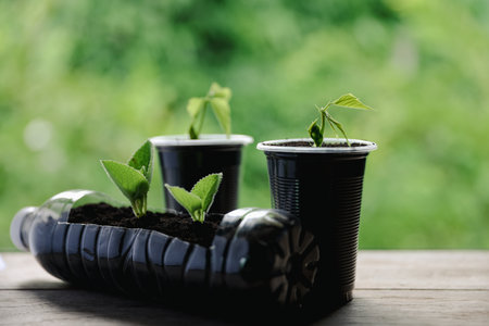 Plastic bags and plastic bottles reused as containers for growing plants. Green tree on plastic bottle. Decoration by using old plastic bottle and bags. Reduce or garbage or waste by recycling objectsの写真素材