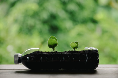 Plastic bags and plastic bottles reused as containers for growing plants. Green tree on plastic bottle. Decoration by using old plastic bottle and bags. Reduce or garbage or waste by recycling objectsの写真素材