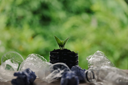 Plastic bags and plastic bottles reused as containers for growing plants. Green tree on plastic bottle. Decoration by using old plastic bottle and bags. Reduce or garbage or waste by recycling objectsの写真素材