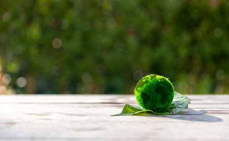 he small globe, earth is on hand, grass, leaf. The globe has maps on it and environmental map. The earth map shown geography continents, countries. The globe ball is the symbol of our planet earth.の写真素材