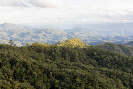 High angle tropical forest, Green forest aerial view and environmental technology concept. Green tech. Ecology. Green transformation.の写真素材