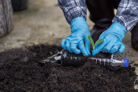 Grow plants with black soil in used plastic containers. for planting Conserving natural resources and the environment sustainable world.の写真素材