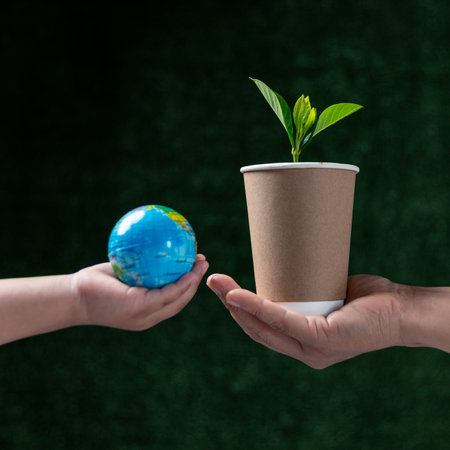 Seedling is growing in eco-friendly disposable cup made of fiber of bagasse and bamboo on table....