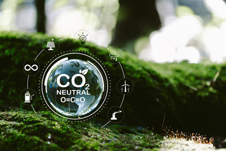 Carbon neutral and net zero environment Ideas Globe Glass on green Moss in forest business based Global communication network.の写真素材