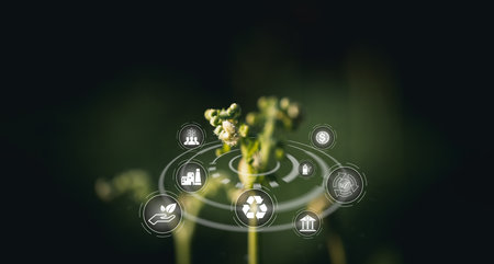 ESG icon concept with fern top for environmental, social, and governance in sustainable and ethical business on the Network connection on a green background. environmental icon, banner and copy spaceの写真素材