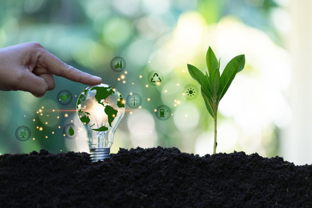 Light bulb is located on the soil and plant are growing with growth graph. Renewable energy generation is essential in the future. Alternative sources of energy. Green energy development. eco energyの写真素材