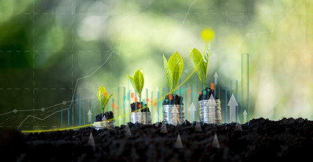 Concept of business growth, finance and investment in green energy. Growing money, finance and investment. Business growth, profit, development and success. Plants increase on nature background.の写真素材