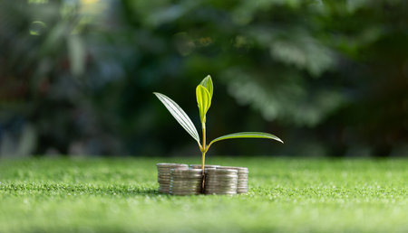 Green business growth and sustainable energy concepts. Finance sustainable development. Investing in renewable energy. Showing financial developments and business growth with growing tree on coin.の写真素材