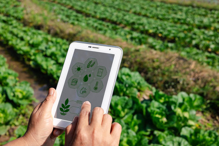 Agriculture technology farmer person hands using digital taplet analysis data with visual icon. Smart farming agriculture concept. Hands holding tablet on blurred organic farm background.の写真素材