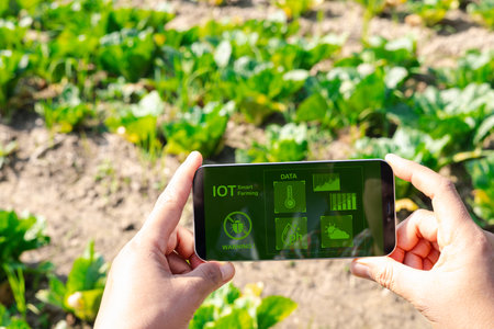 Agriculture technology farmer person hands using smart phone computer analysis data with visual icon. Smart farming agriculture concept. Hands holding mobile phone on blurred organic farm background.の写真素材