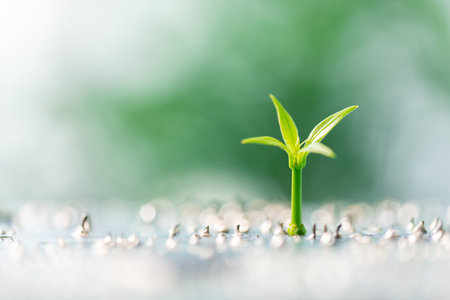 Advancements in electronic, digital technology are driving green engineering innovations, tech companies develop eco-friendly hardware, chip designs to reduce environmental impact on Earthâs circuitsの写真素材