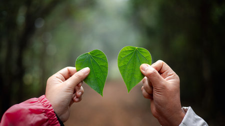 Green leaf in her hand was a symbol of love for nature, representing the concept of natural beauty and the importance of ecology. leaf, love, nature, nubes, concept, green, hand, natural, ecology.の写真素材