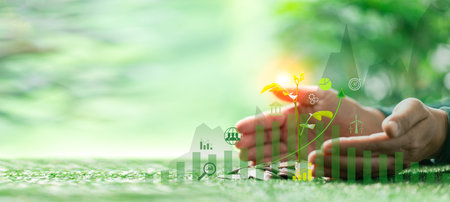 Investing in sustainable business practices can nurture financial growth, turning money into wealth...