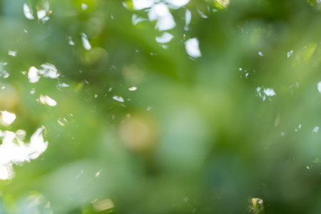 Business concept nature revolves around citrus orchard orange tree are growing, vibrant fruit organic lush leaves creating stunning background, green blur garden of thriving crop ripe laden branchesの写真素材