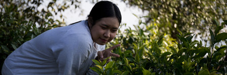 Business concept centers around fresh green tea reap background leaves organic farm with banner lush garden healthy plant tree leaves eco herbal farmer blur leaf plantation Freshness herbal naturalの写真素材
