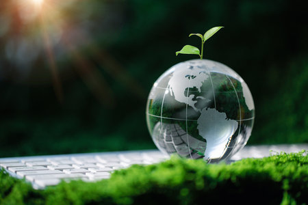 Crystal globe glass on green moss in forest to protect nature save and care world for sustainable. Concept of world sustainable environment, world environment day, world earth day and climate change.の写真素材