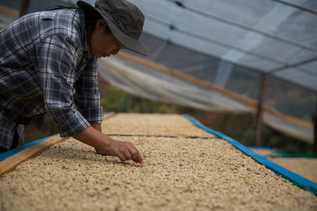 Farmer hand harvest ripe coffee seed berry close up fresh green leaf bean picking orange crop red yellow berries raw plant tree farm growth blur background eco organic gardenの写真素材