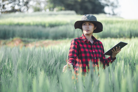 wheat farmer harvest business concept farming agronomist analyzing data barley examines food field...