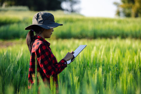 wheat farmer harvest business concept farming agronomist analyzing data barley examines food field summer cereal agriculture Smart farm modern management growth control organic summer background blurの写真素材