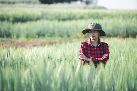 wheat farmer harvest business concept farming agronomist analyzing data barley examines food field summer cereal agriculture Smart farm modern management growth control organic summer background blurの写真素材
