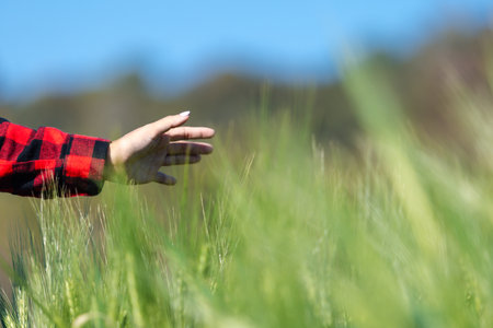 wheat farmer harvest business concept farming agronomist analyzing data barley examines food field...