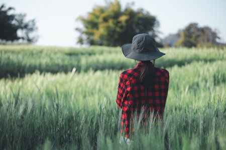 wheat farmer harvest business concept farming agronomist analyzing data barley examines food field summer cereal agriculture Smart farm modern management growth control organic summer background blurの写真素材