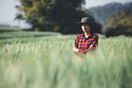 wheat farmer harvest business concept farming agronomist analyzing data barley examines food field summer cereal agriculture farm modern management growth control organic background blurの写真素材