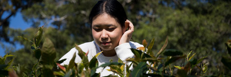 Business concept centers around fresh green tea leaves organic farm with banner lush garden healthy plant tree leaves eco herbal farmer blur leaf plantation Freshness herbal naturalの写真素材