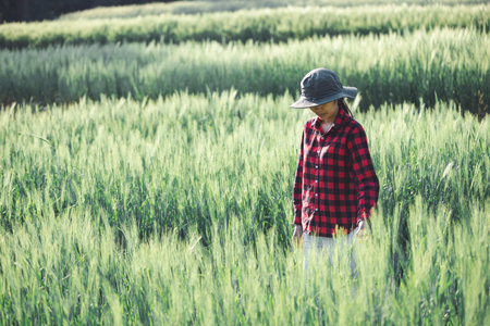 wheat farmer harvest business concept farming agronomist analyzing data barley examines food field summer cereal agriculture Smart farm modern management growth control organic summer background blurの写真素材