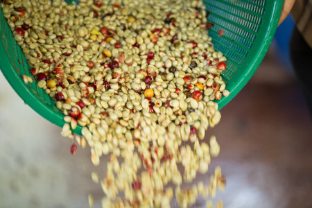Close up smart farmer techniques hand coffee bean machinery roast apparatus dry sunlight tool sunbeam sunray sunshine fresh garden produce agriculture promotes farmer concept farm blur backgroundの写真素材