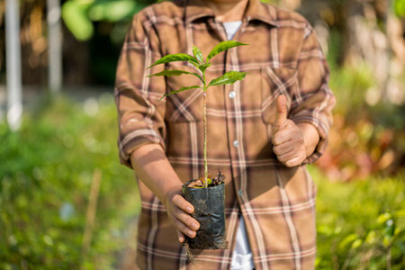 Smart hand farming techniques hydroponic fresh garden produce agriculture promotes farmer concept seedling coffee pot fresh green plant tree farm growth blur background organic garden cultivateの写真素材