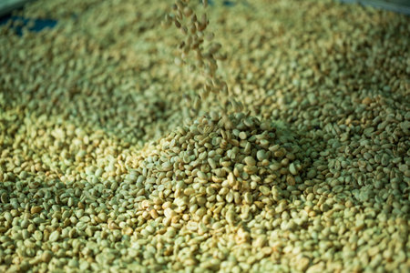 Smart farming techniques machinery roast apparatus coffee bean dry sunlight tool sunbeam sunray...