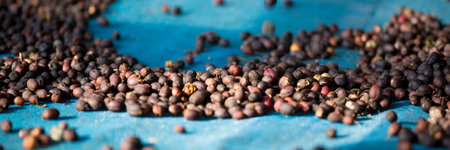 Smart farming techniques machinery roast apparatus coffee bean dry sunlight tool sunbeam sunray sunshine fresh garden produce agriculture promotes farmer concept close up plant farm blur backgroundの写真素材
