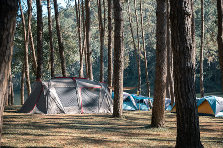Concept camping blur background mountain cloud sky enhances nature outdoor tourism comes close up orange blue tent peaceful pine forest scenic woodland vacation Sunlight tree fog cold winter morningの写真素材
