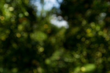 Business concept nature revolves around citrus orchard orange tree are growing, vibrant fruit organic lush leaves creating stunning background, green blur garden of thriving crop ripe laden branchesの写真素材